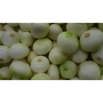 Onion (42)-8103546-87879.webp
